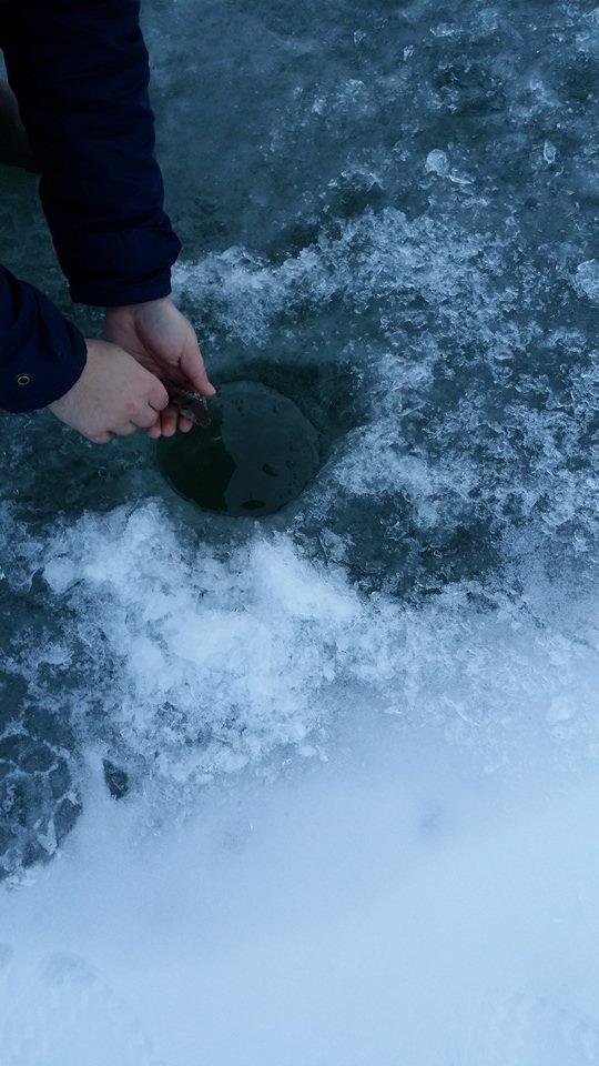 bibaniada :) - 16108558347964332335864556322264970541765n.jpg